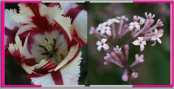 Muttertag Blumen im Fotobuch