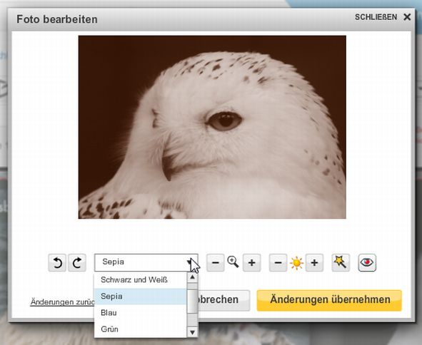 snapfish Fotobücher bildbearbeitungseditor