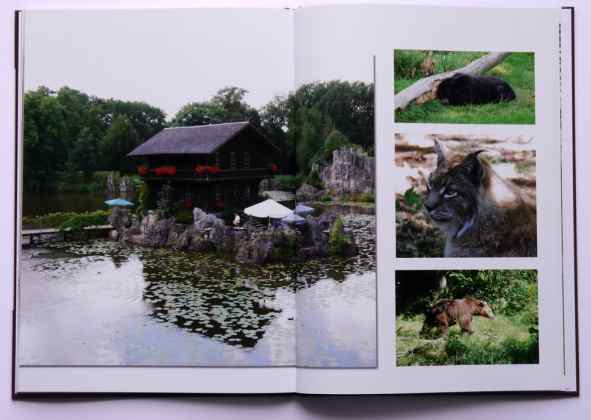 tchibo Fotokasten endergebnis druck